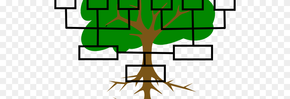 The First Digital Family Tree Operational In Romania, Plant, Root, Vegetation, Person Png Image