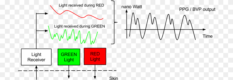 The First Part Of The Processing Performed By The E4 Ir Ppg, Light Png Image