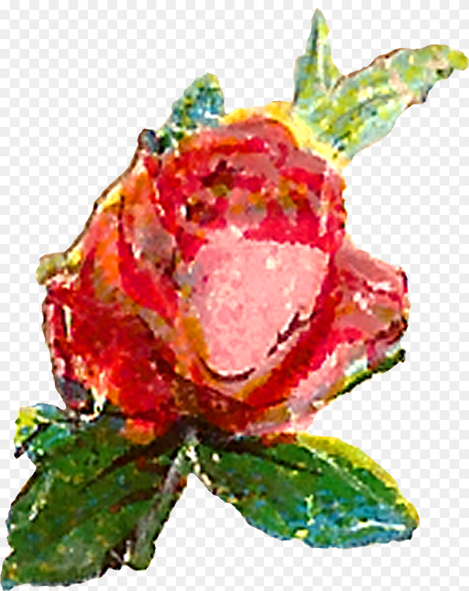The First Pink Rose Clip Art Is Of A Single Flower Music Download, Leaf, Plant, Accessories, Petal Free Transparent Png
