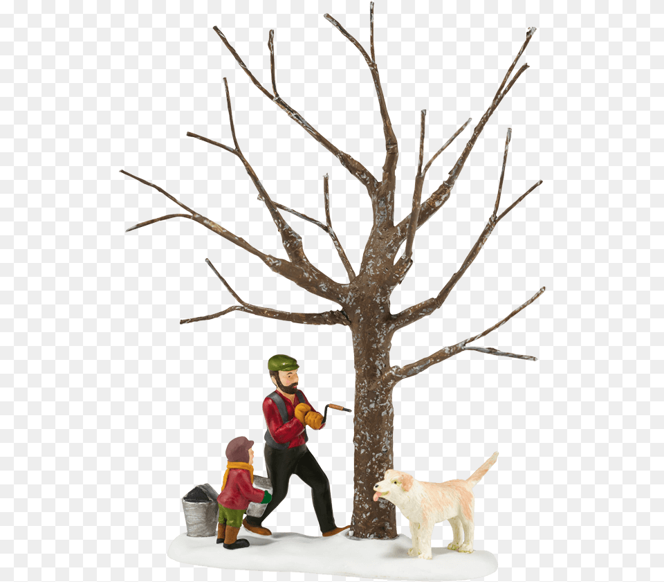 The First Tap Snow, Figurine, Tree, Plant, Adult Free Transparent Png