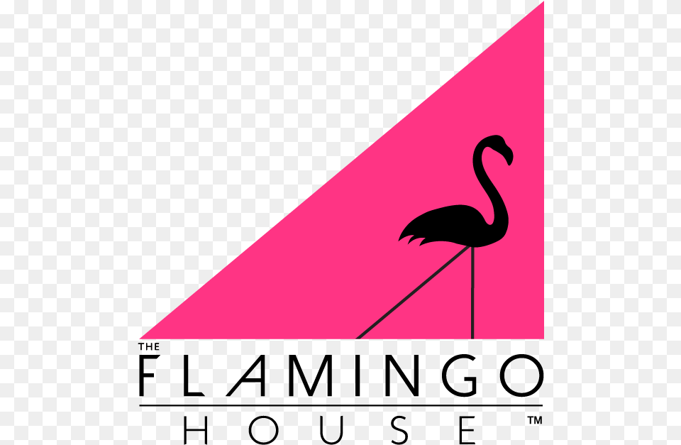 The Flamino House Boca Raton Events Greater Flamingo, Triangle, Animal, Bird, Fish Free Png Download