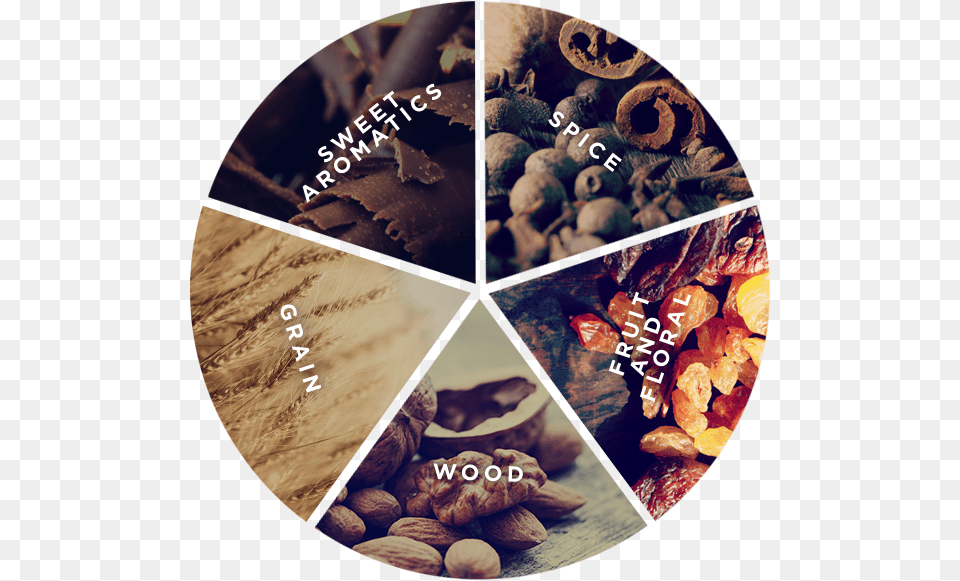 The Flavors Wood Coffee Flavour Wheel Nuts, Food, Produce, Almond, Grain Free Transparent Png