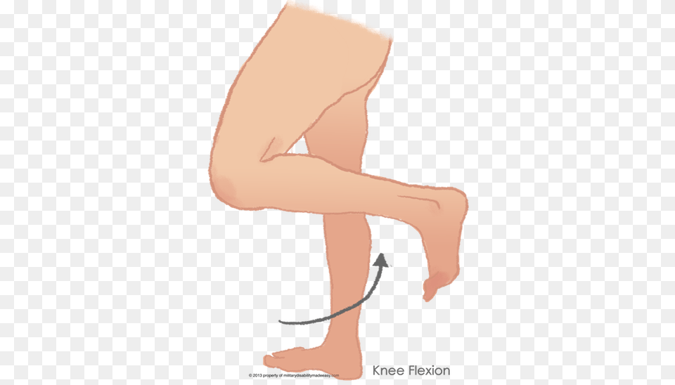 The Flexion Of The Knee 1 Flex Leg At Knee, Diaper Free Png Download