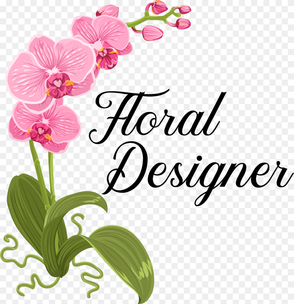 The Floral Designer Happy Mother39s Day Orchid, Flower, Plant Png Image