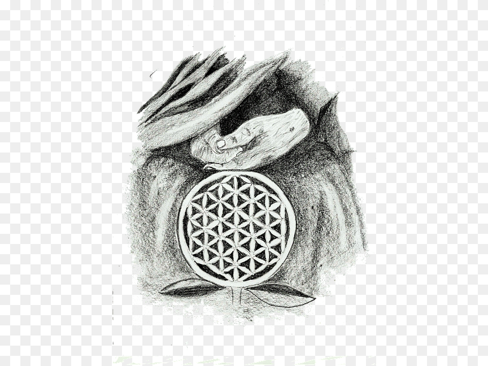 The Flower Of Life Flower Of Life Sketch, Art, Drawing, Adult, Bride Png