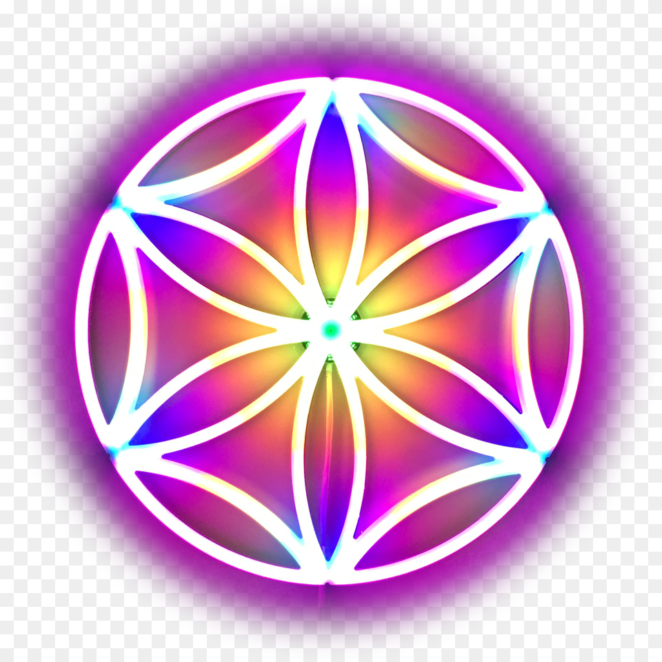 The Flower Of Life Single Seed Art Photonicbliss Aphrodite Symbol Png Image