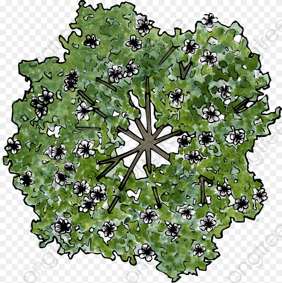 The Flowers On The Trees Plan View Flowering Tree, Plant, Leaf, Green, Pattern Png Image