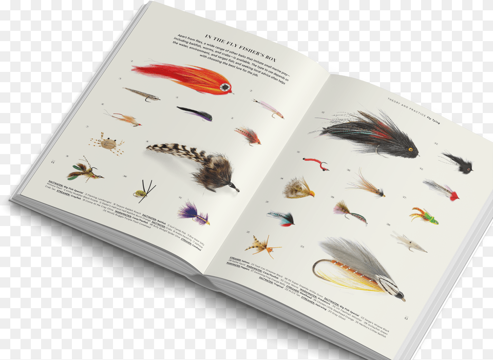The Fly Fisher Gestalten Book Flyfishingclass Madagascar Hissing Cockroach, Advertisement, Publication, Poster, Page Free Png