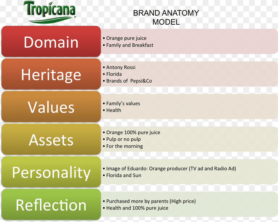 The Following Brand Anatomy Models Will Help Us To Brand Anatomy Model, Text Png Image