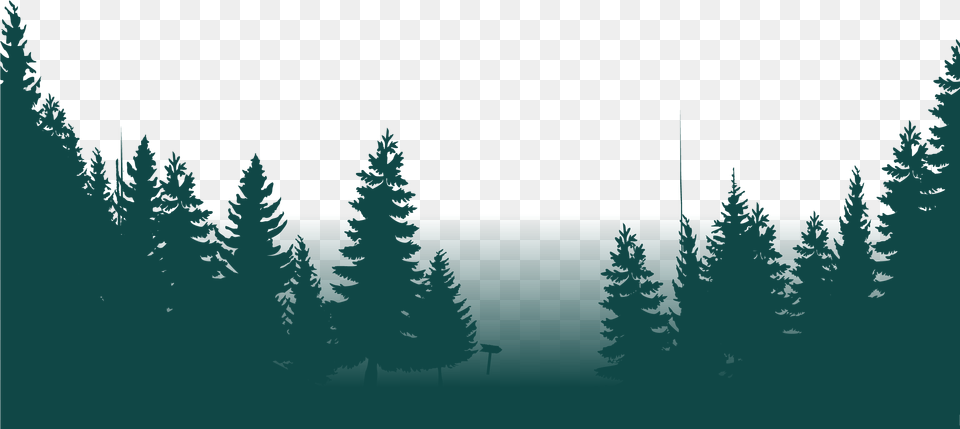 The Forest Christmas Tree, Fir, Pine, Plant, Conifer Png Image