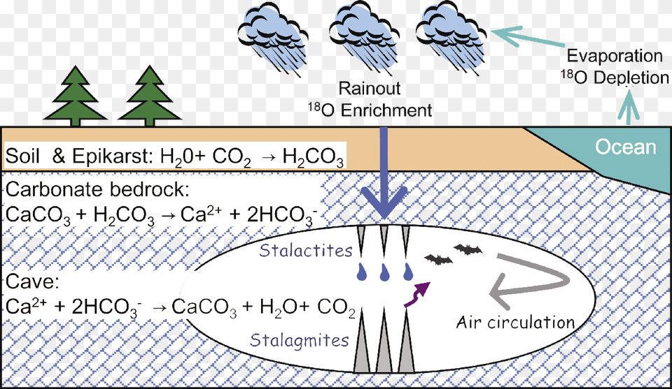 The Formation Process Of Stalagmites Illustration, Outdoors, Text, Nature, Plant Png