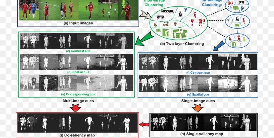 The Framework Of Our Cluster Based Co Saliency Detection, People, Person, Art, Collage Free Transparent Png