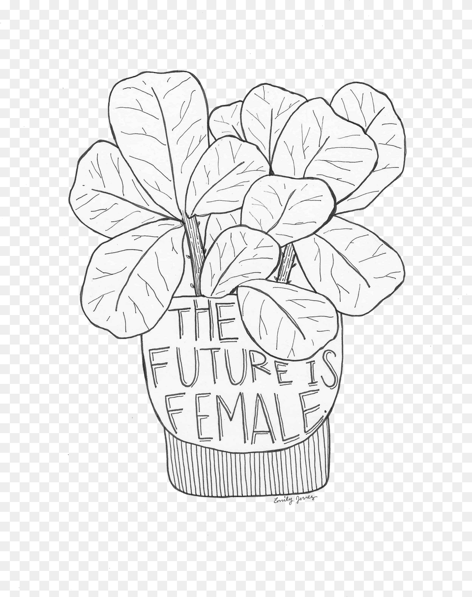 The Future Is Female Cute Fig Leaf Illustration By Line Art, Plant, Potted Plant, Drawing, Flower Png Image