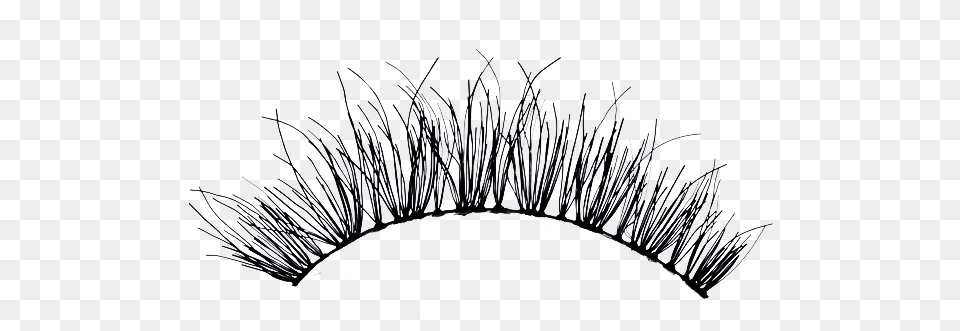 The Gallery For Cartoon Eyelash Hd, Accessories, Jewelry, Plant Free Transparent Png