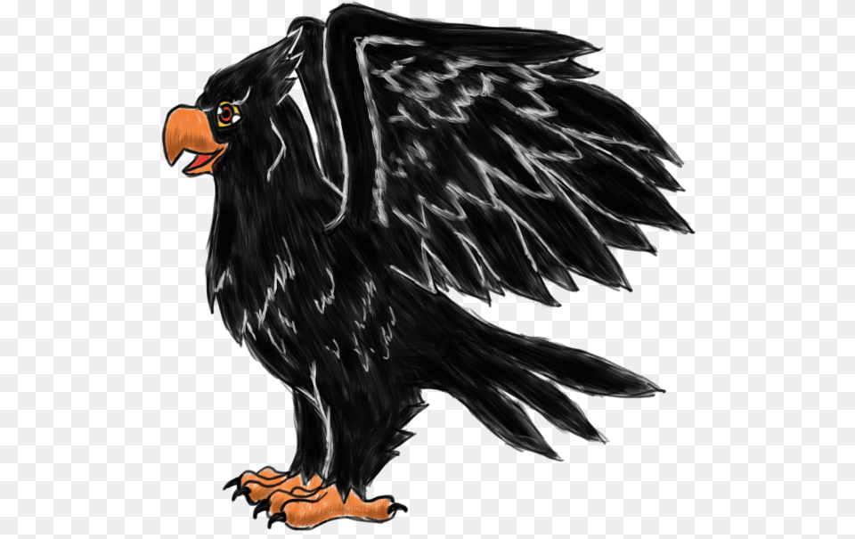 The German Black Eagle Eagle, Animal, Bird, Vulture, Beak Free Png Download