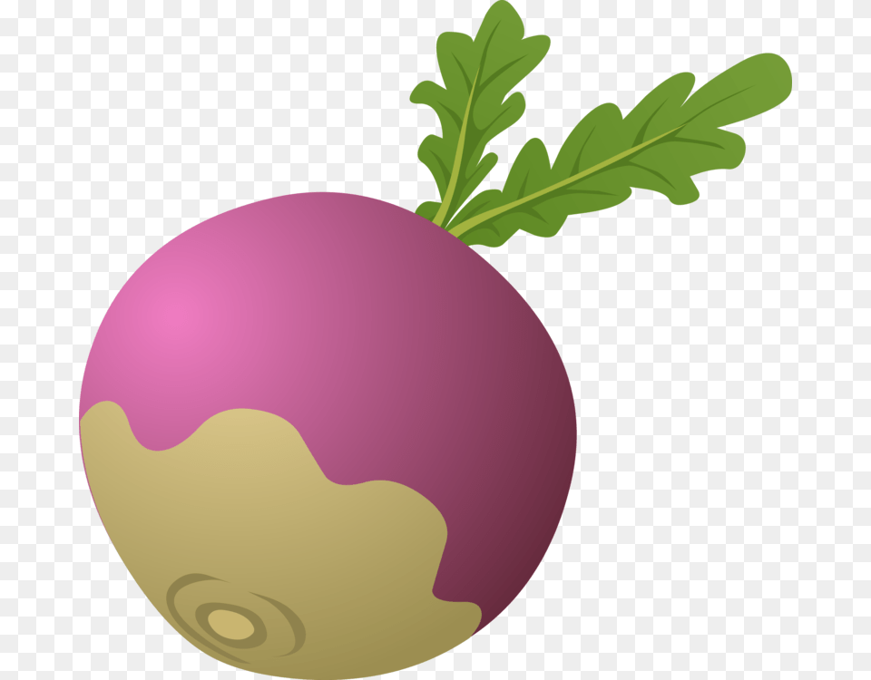 The Gigantic Turnip Radish Beetroot Vegetable, Food, Produce, Plant, Rutabaga Free Png