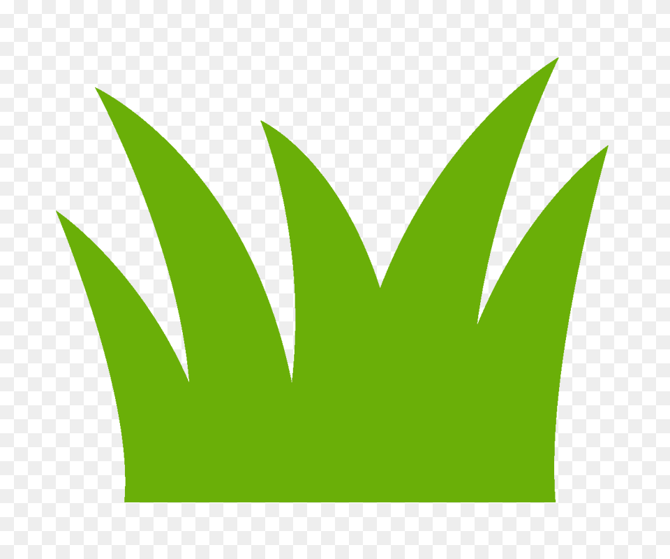The Giving Tree Inc, Green Png