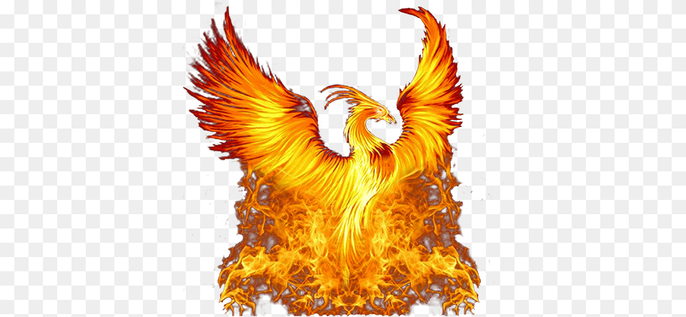 The Golden Phoenix Chess Club Chesscom Transparent Phoenix Bird, Fire, Flame, Bonfire Free Png Download
