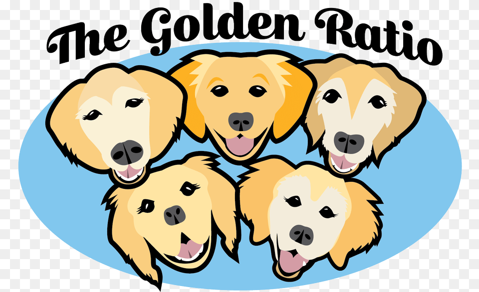 The Golden Ratio Golden Ratio Clipart Full Dog Yawns, Animal, Mammal, Golden Retriever, Canine Free Png