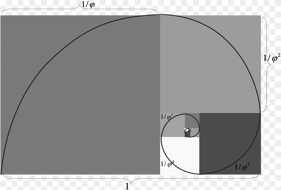 The Golden Ratio Is Everywhere Circle, Bow, Weapon, Sphere Free Png