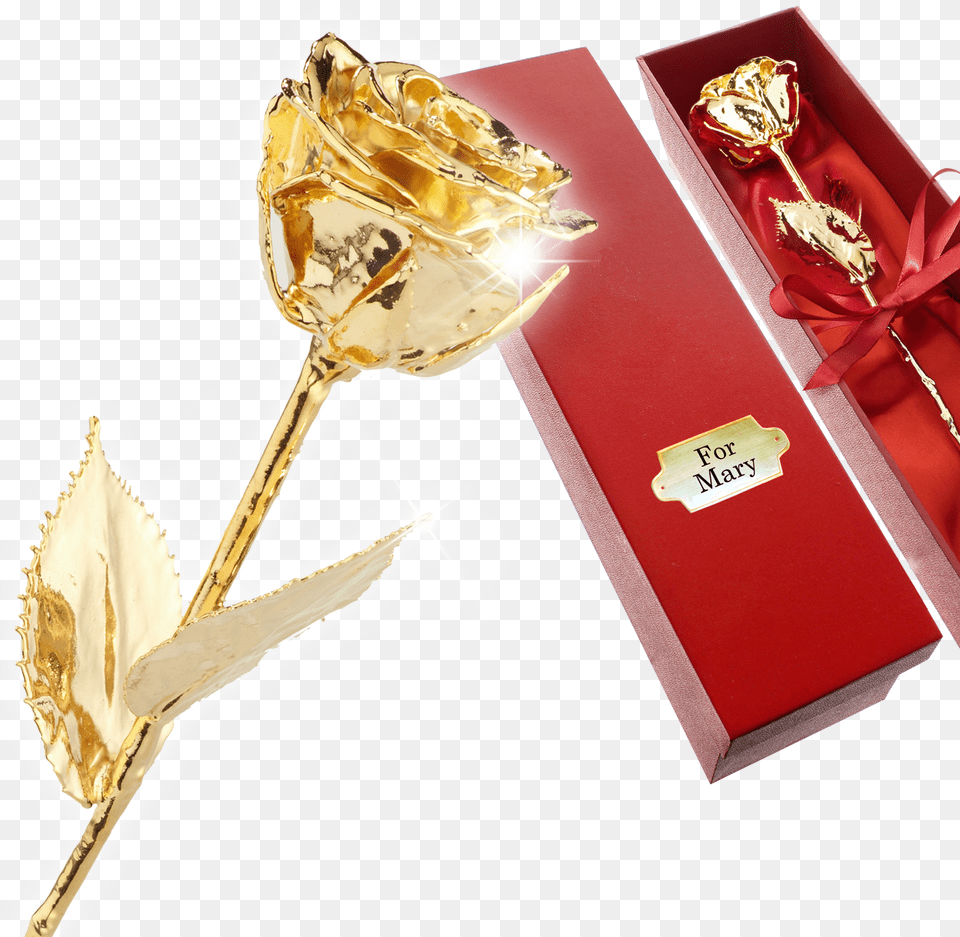 The Golden Rose Rose, Adult, Bride, Female, Person Free Png