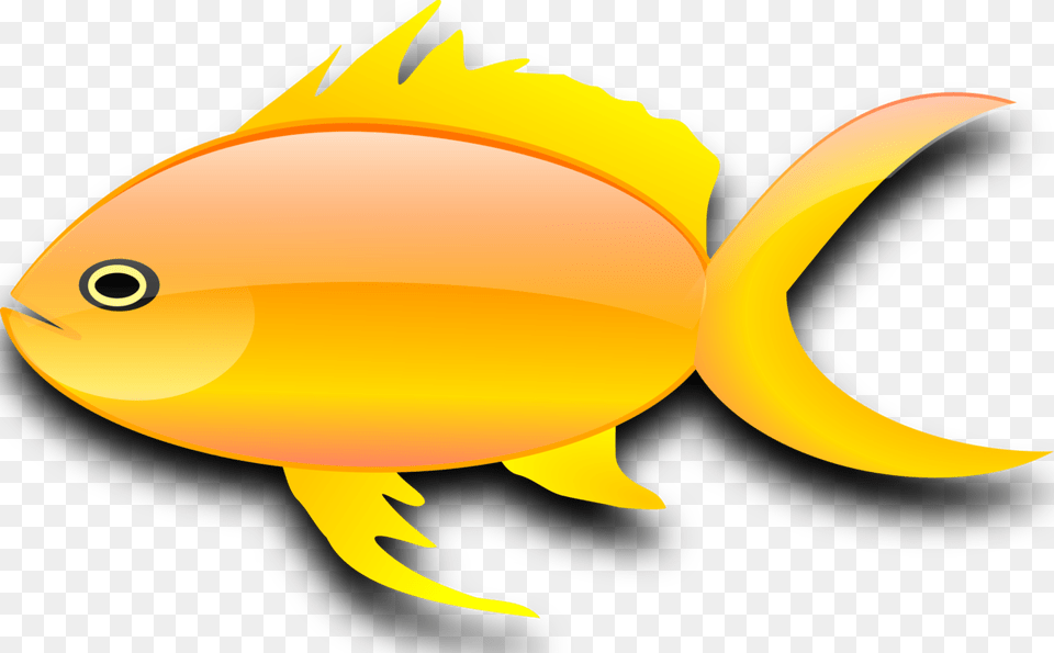 The Goldfish Computer Icons, Animal, Sea Life, Fish, Astronomy Free Transparent Png