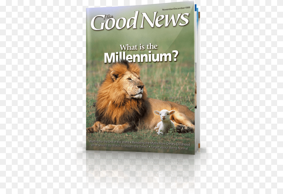 The Good News November December Masai Lion, Animal, Mammal, Wildlife, Livestock Free Transparent Png