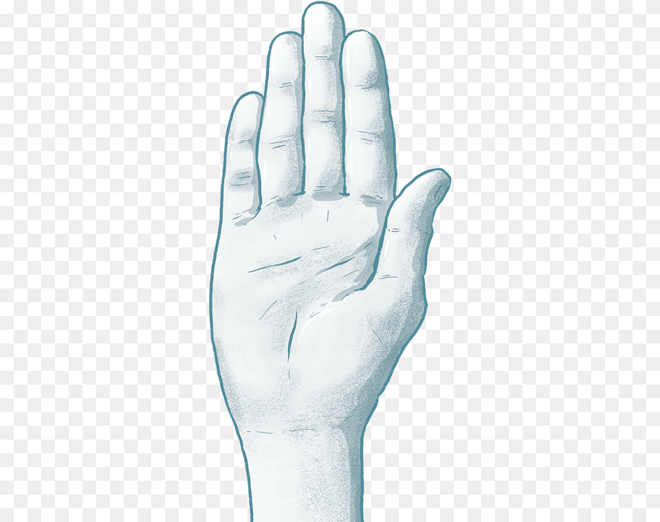 The Good Soldier White Dove Sketch, Body Part, Clothing, Finger, Glove Free Transparent Png