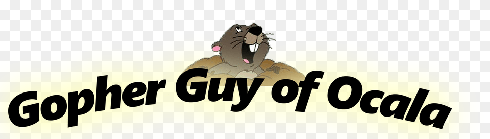 The Gopher Guy Of Ocala, People, Person Png