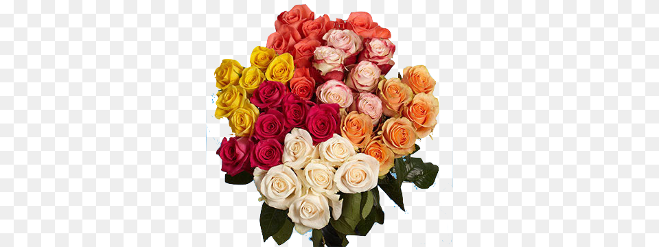 The Gorgeous Long Stem Roses Bouquet Surprise Gift Roses All Color, Flower Bouquet, Plant, Flower Arrangement, Flower Free Transparent Png