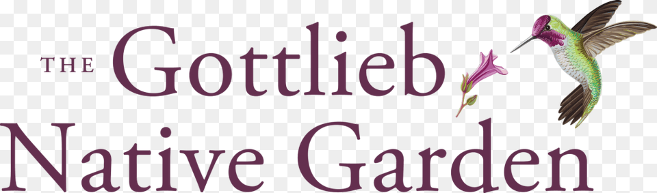The Gottlieb Native Garden Parfumerie Fragonard, Animal, Bird, Flying, Purple Free Png Download