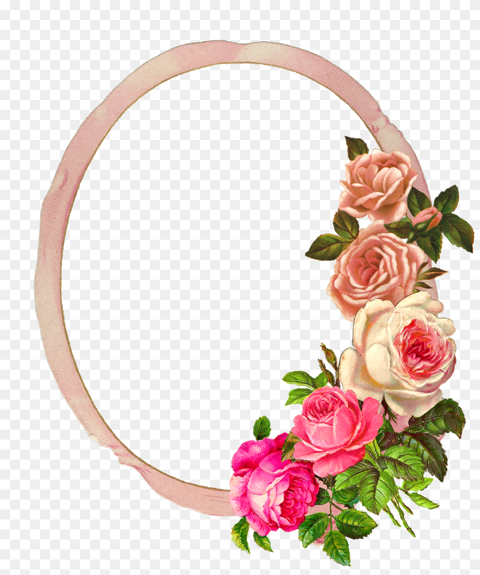 The Graphics Monarch Pink Rose Digital Flower Frame Flower Arrangement, Plant, Accessories Free Png Download