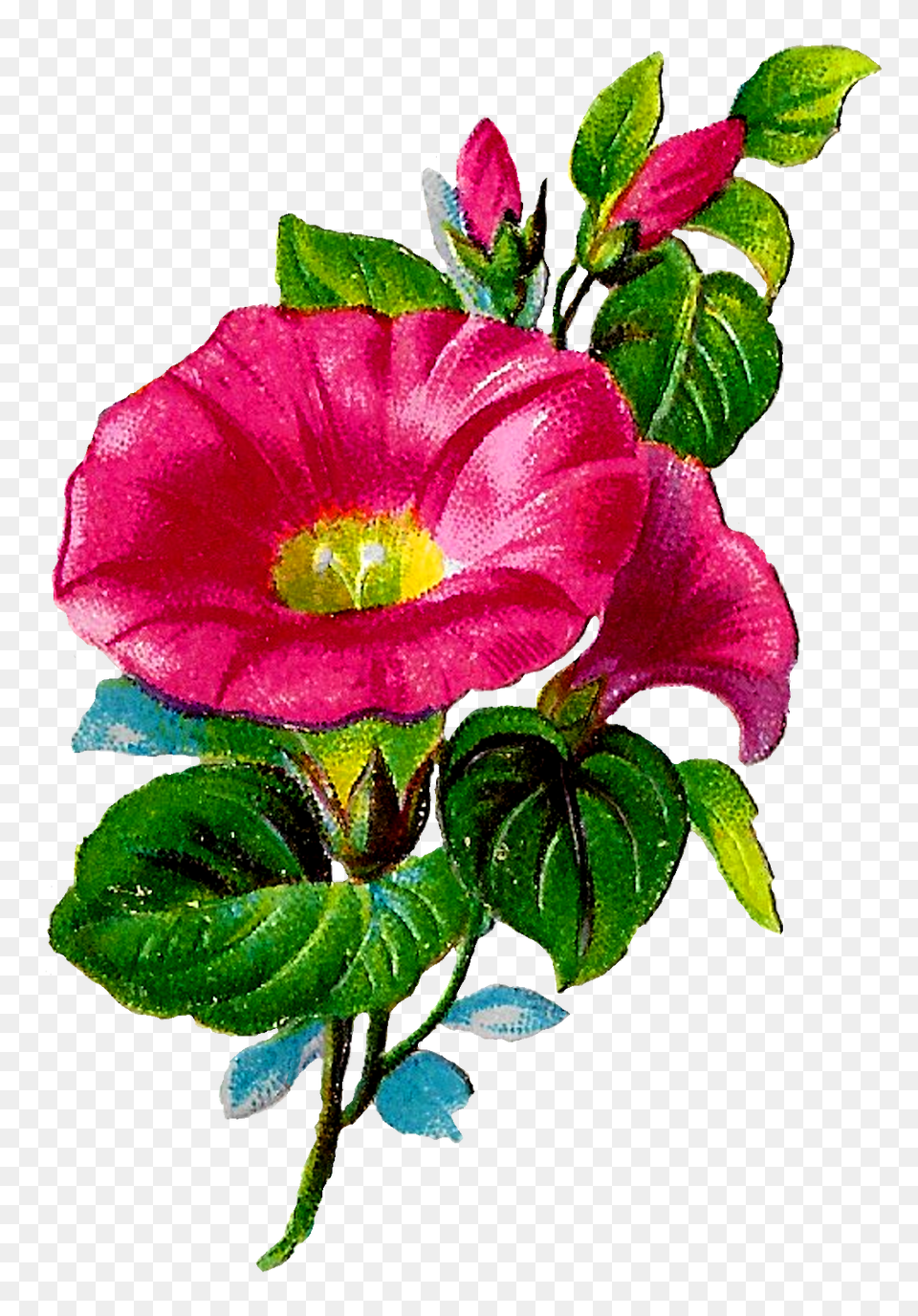 The Graphics Monarch Royalty Digital Flower Crafting Clipart, Geranium, Anemone, Plant, Flower Arrangement Png