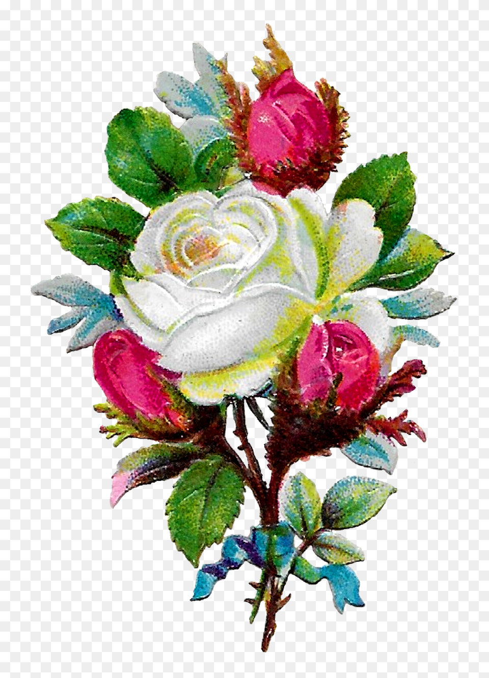 The Graphics Monarch Shabby Chic White Rose Clip Art Flower Craft, Plant, Pattern, Flower Bouquet, Flower Arrangement Png Image
