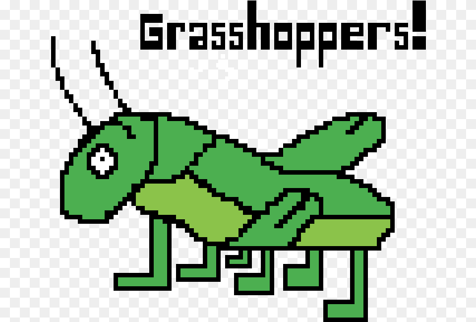 The Grasshopper, Animal, Insect, Invertebrate Free Transparent Png