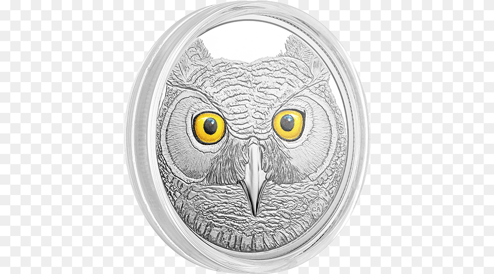 The Great Horned Owl Circle, Photography, Art, Drawing, Animal Png Image