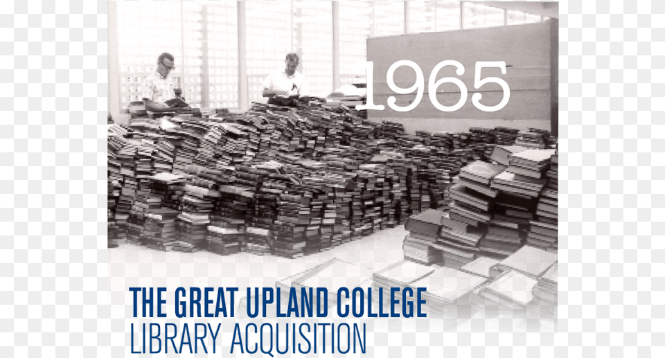 The Great Upland College Library Acquisition Nl Greenlabel, Book, Publication, Adult, Person Png
