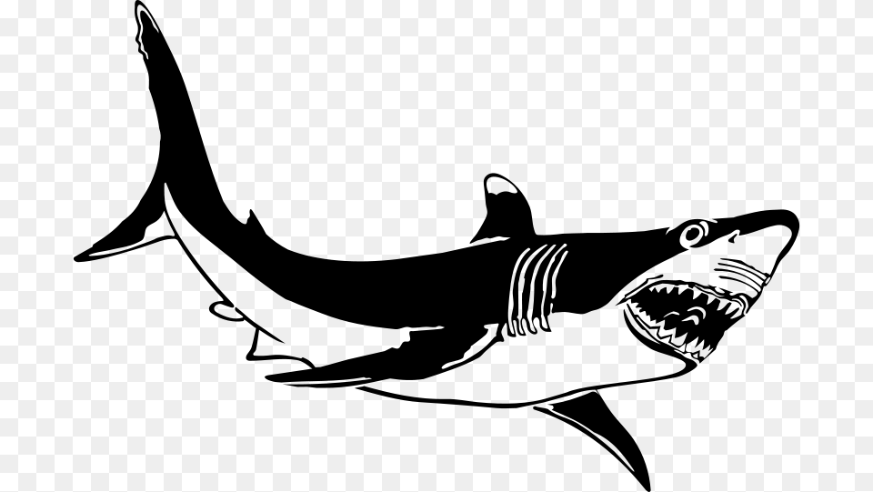 The Great White Shark, Gray Png Image
