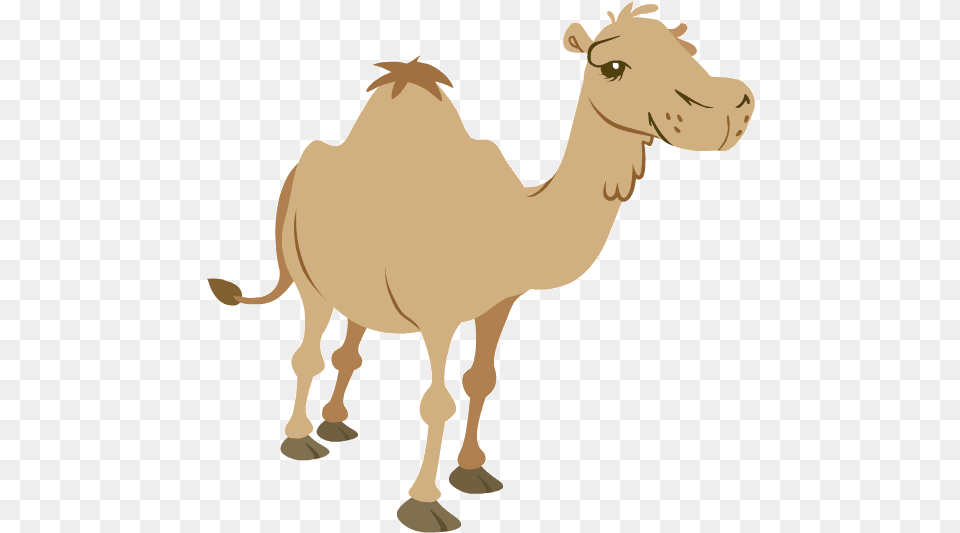 The Great Zoo Escape 2 Thadeus Maximus Artworks Walking Animated Camel Gif, Animal, Mammal, Horse Png Image