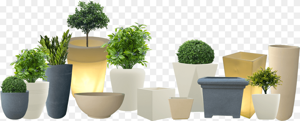 The Greatest Preferred Standpoint Of A Planter Would Fox Flower Pot Yuccabe Italia Hd, Herbs, Jar, Plant, Potted Plant Png Image