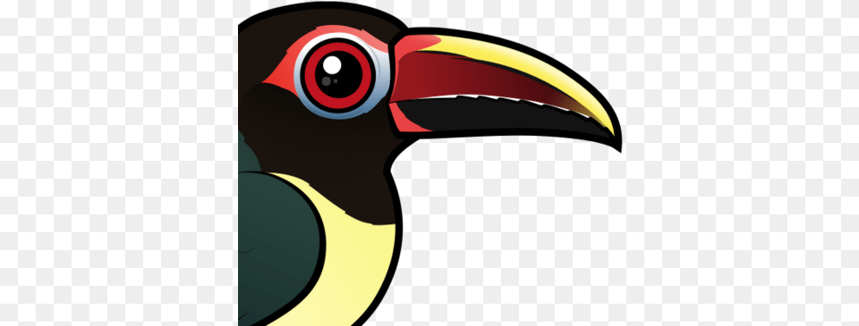 The Green Aracari Is A Toucan That Lives In Northeastern Green Aracari, Animal, Beak, Bird Png