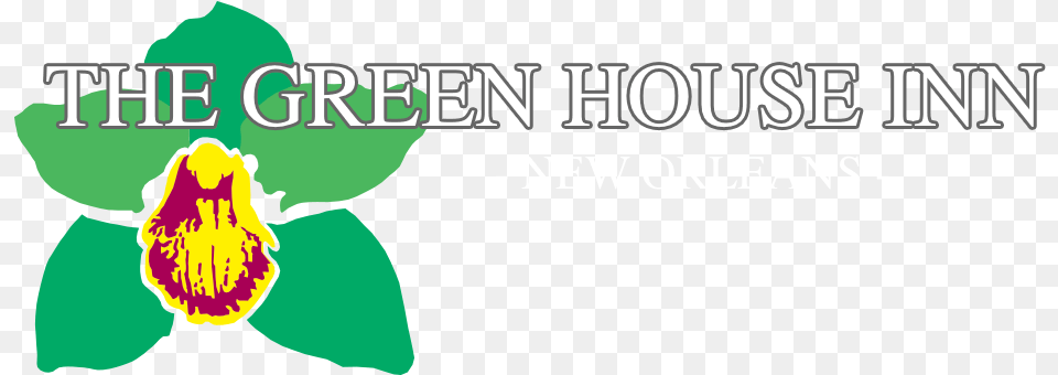 The Green House Inn Ghetto Freedom Of Speech, Flower, Plant, Petal, Leaf Free Png