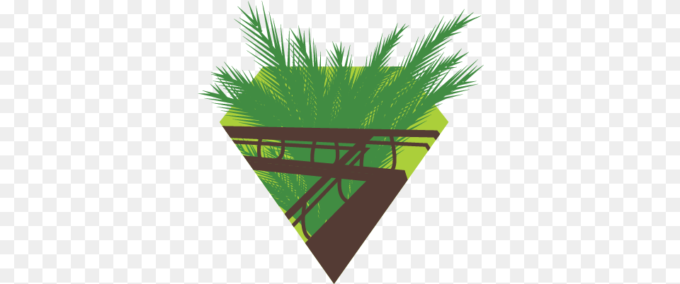 The Greenhouse Is Divided In Three Climate Zones Representing Sabal Palmetto, Grass, Potted Plant, Plant, Vegetation Free Transparent Png