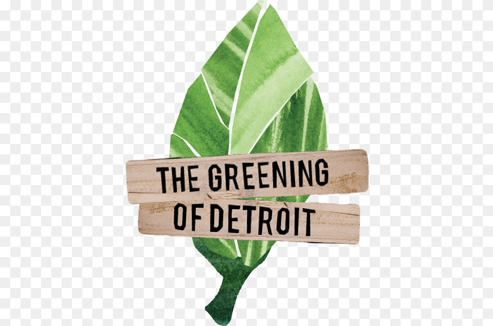 The Greening Of Detroit Rebranding Concept Bay Laurel, Leaf, Plant, Art, Paper Png