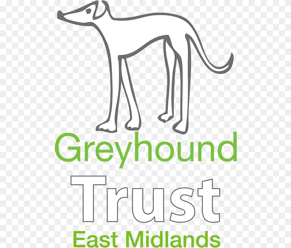 The Greyhound Trust East Midlands Retired Greyhound Trust, Advertisement, Poster, Book, Publication Free Transparent Png