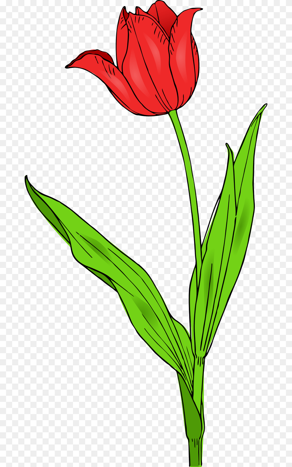 The Grinch Clip Art, Flower, Plant, Leaf, Tulip Free Transparent Png