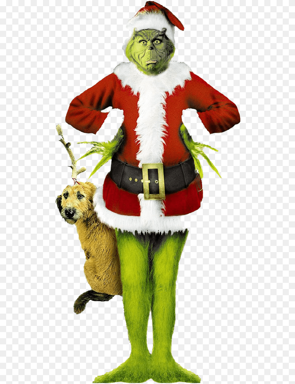 The Grinch Background Arts Grinch Jim Carrey, Elf, Person, Clothing, Costume Free Transparent Png