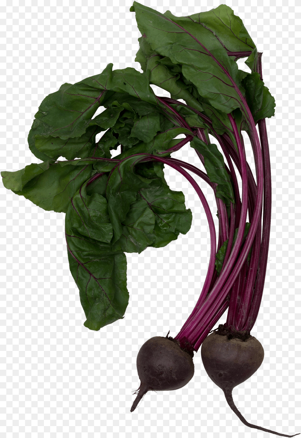 The Grove Juice Truck Beet Greens, Plant, Food, Produce, Turnip Free Transparent Png