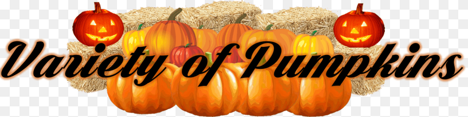 The Grove Of Old Town Clovis Pumpkin Patch Has Grown Floracraft Straw Bales 2 12 Inch By 1 14 Inch 1 Inch, Food, Plant, Produce, Vegetable Free Png Download
