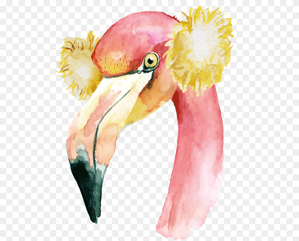 The Hand Painted Flamingo Material, Animal, Beak, Bird Free Transparent Png